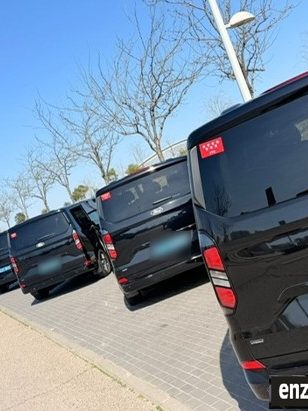 Conductor profesional