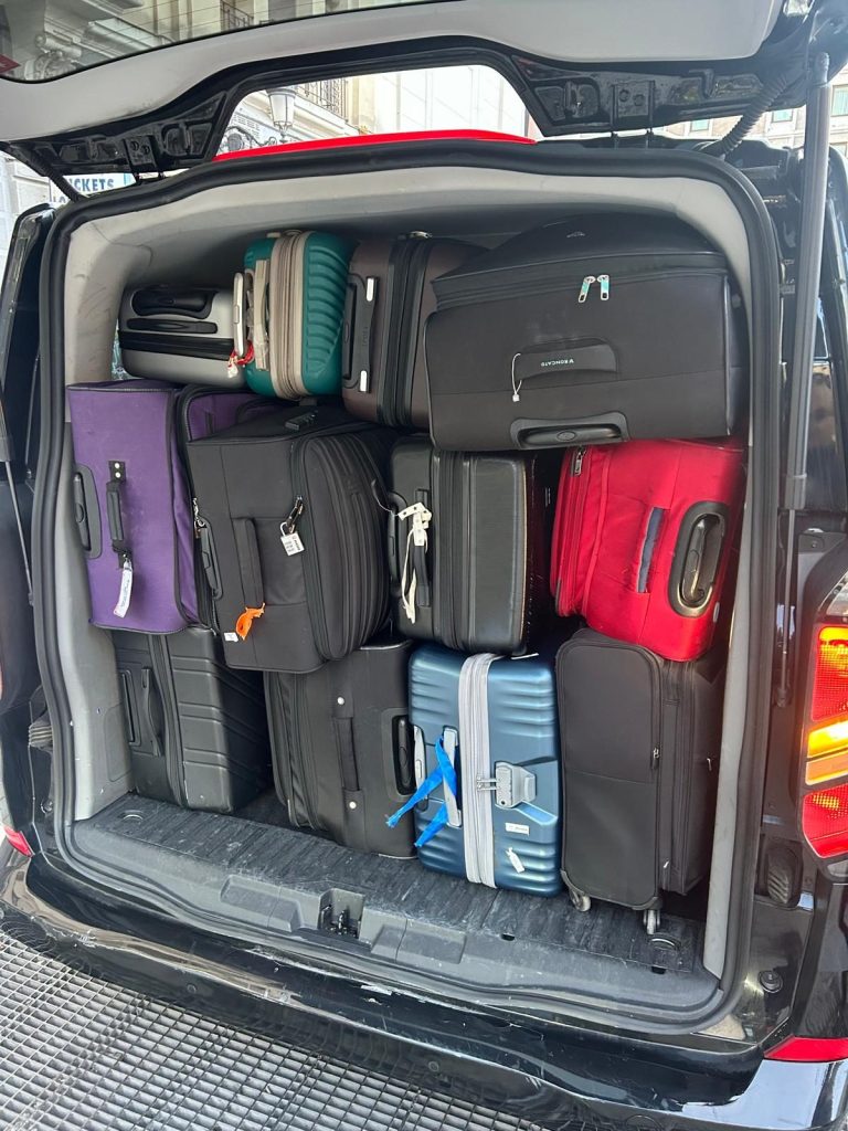 viaje con su mascota